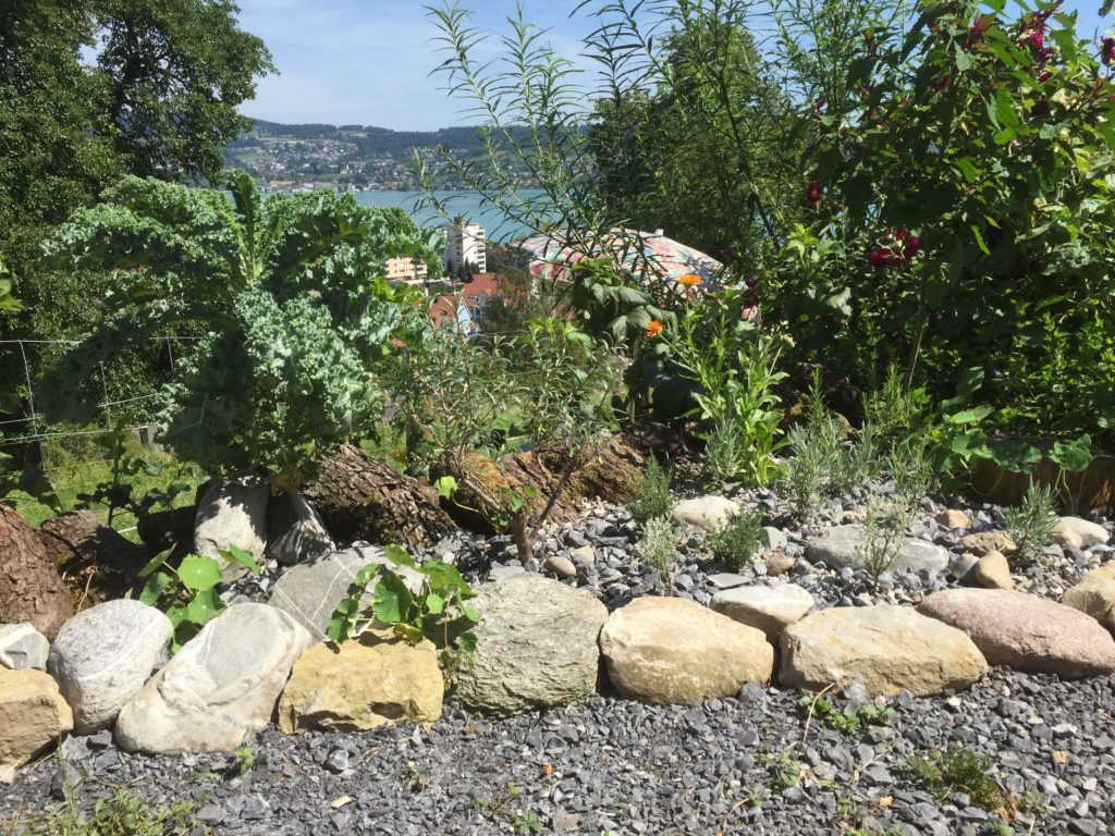 Essbare Ziergärten - Keisergarten